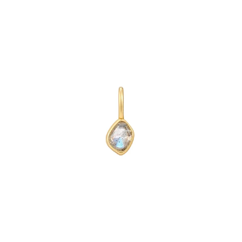 adjustable necklaces for women-Sterling Silver & 14K Yellow Gold Plated Labradorite Charm by Ania Haie