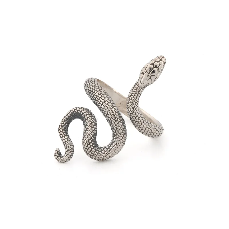 signet ring for men -Cycle of Life Snake Sterling Silver Ring