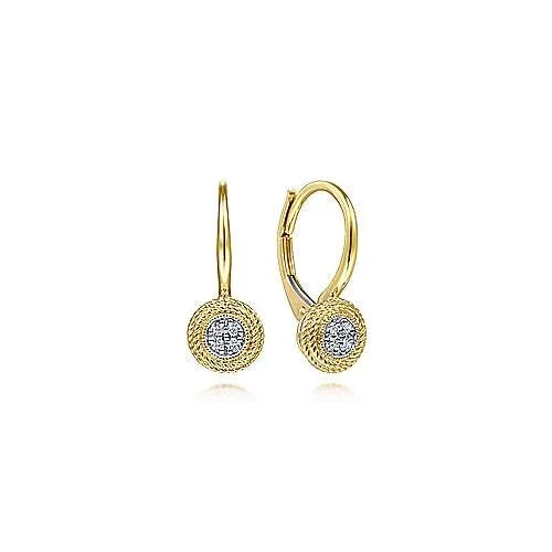 black stud earrings for men-Yellow Gold Rope Twist Diamond Leverback Earrings