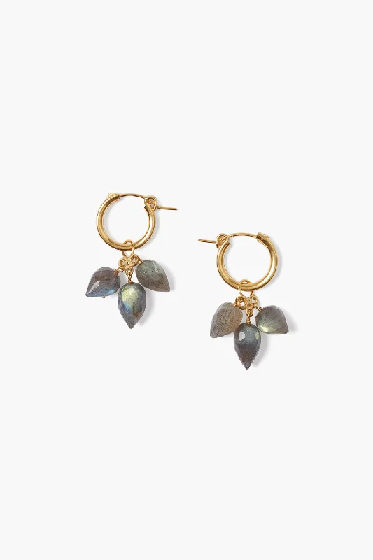 women’s stud earrings set-Delphine Hoop Earrings Labradorite